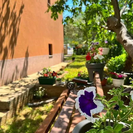 Appartement With Parking Space - Diklo, - 16522