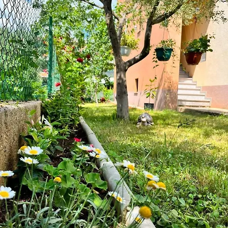 With Parking Space - Diklo, - 16522 Appartement Zadar
